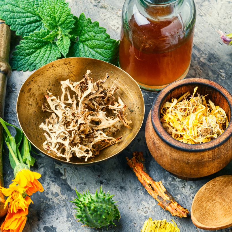 The Rise of Naturopathic Medicine in Preventive Healthcare